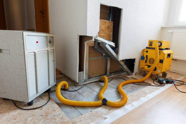 Best Mold Prevention Services  in Bridgeport, NE